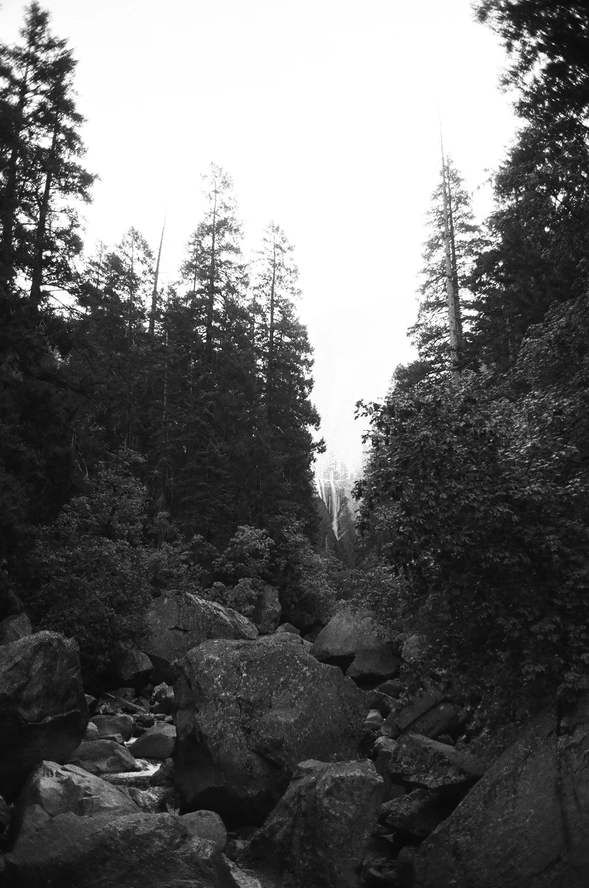 yosemite-wedding-photographer-057.JPG