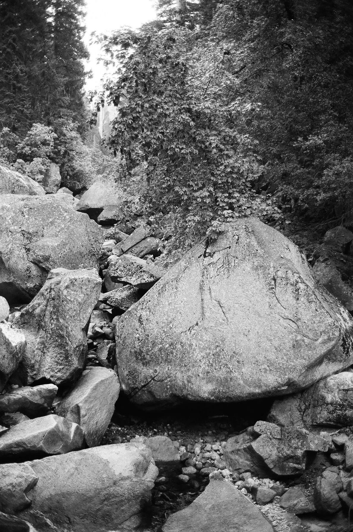 yosemite-wedding-photographer-060.JPG