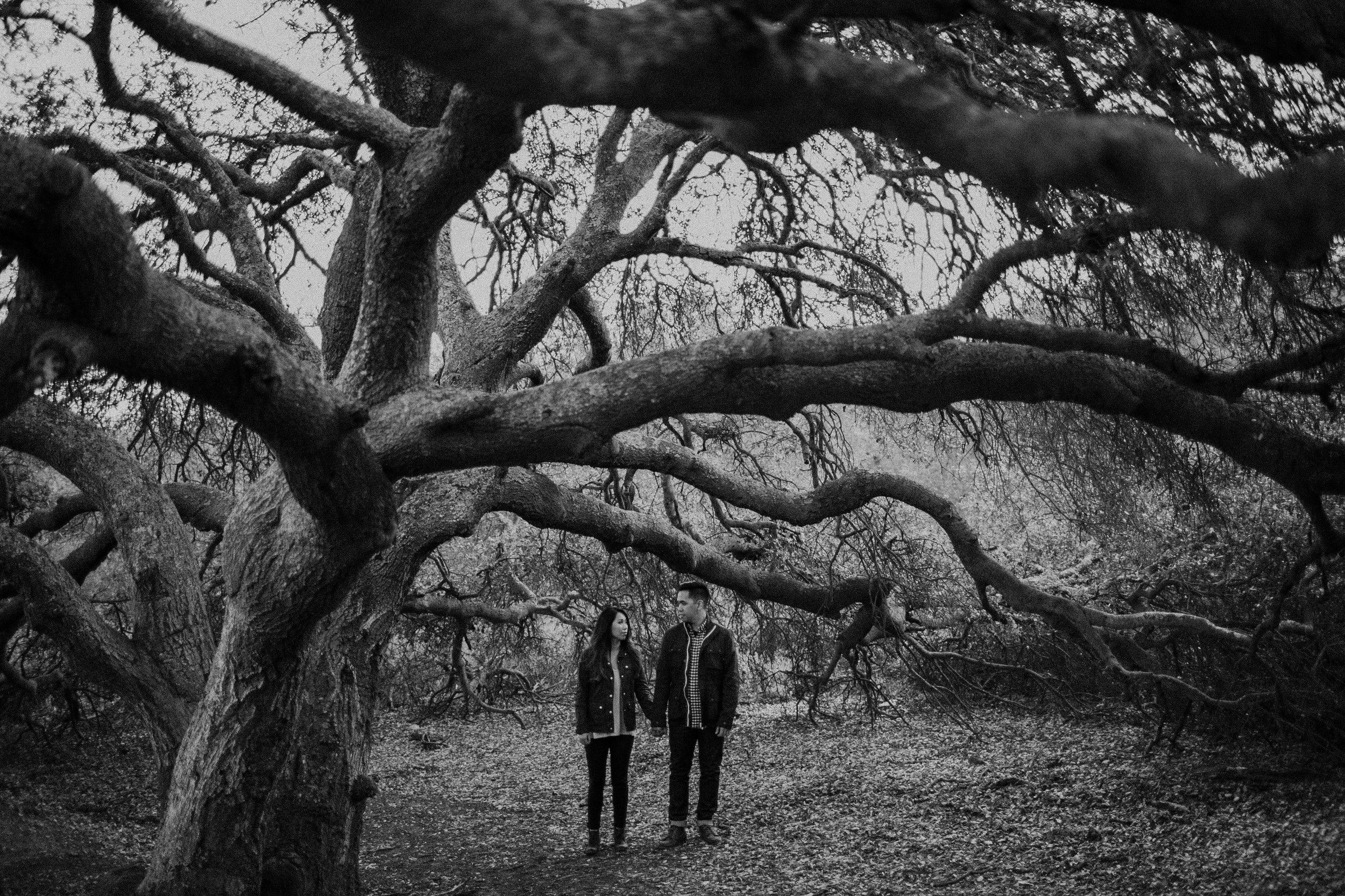 southern california wedding photographer