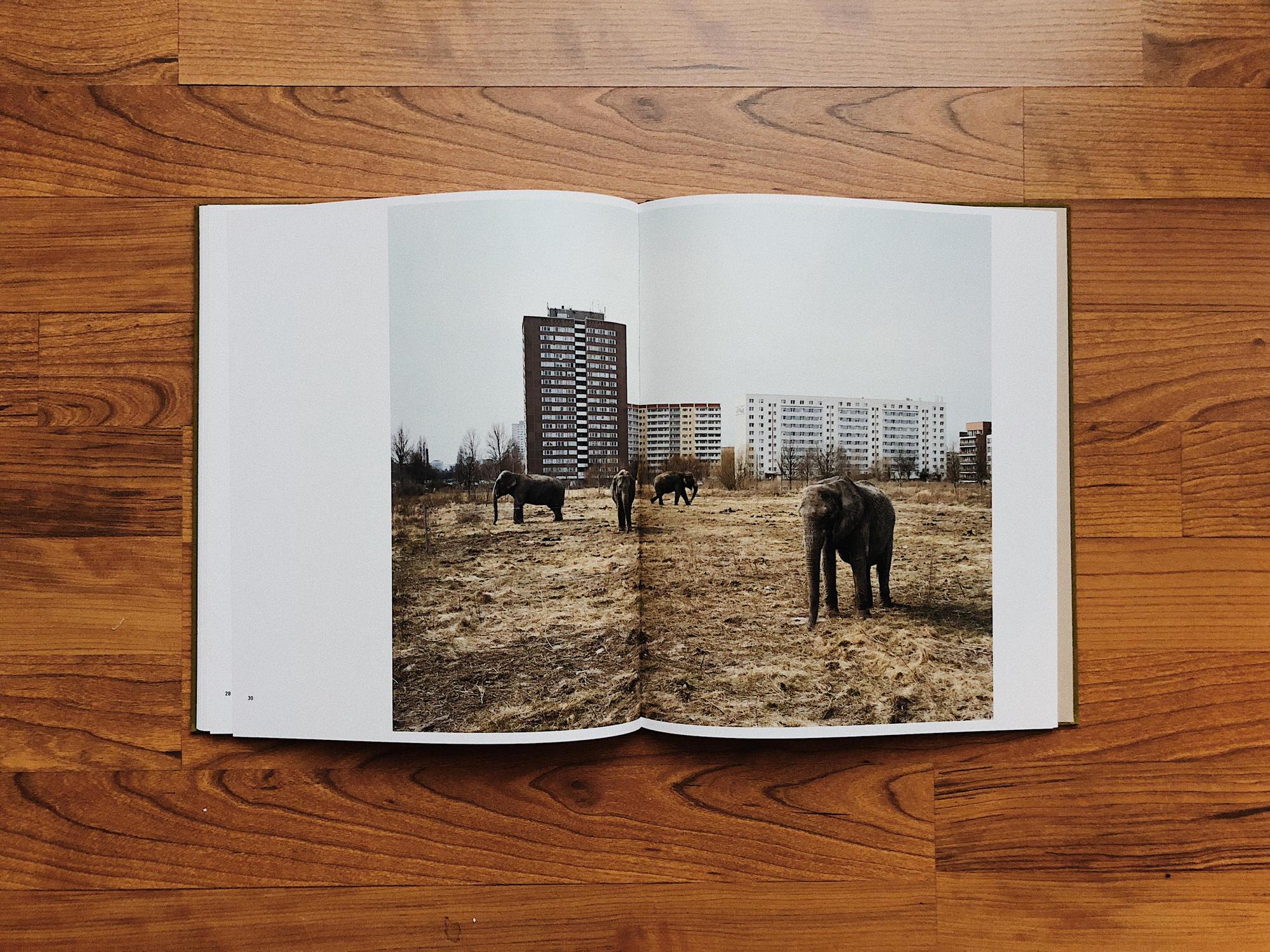 Elephant Photo Berlin Mitch Epstein