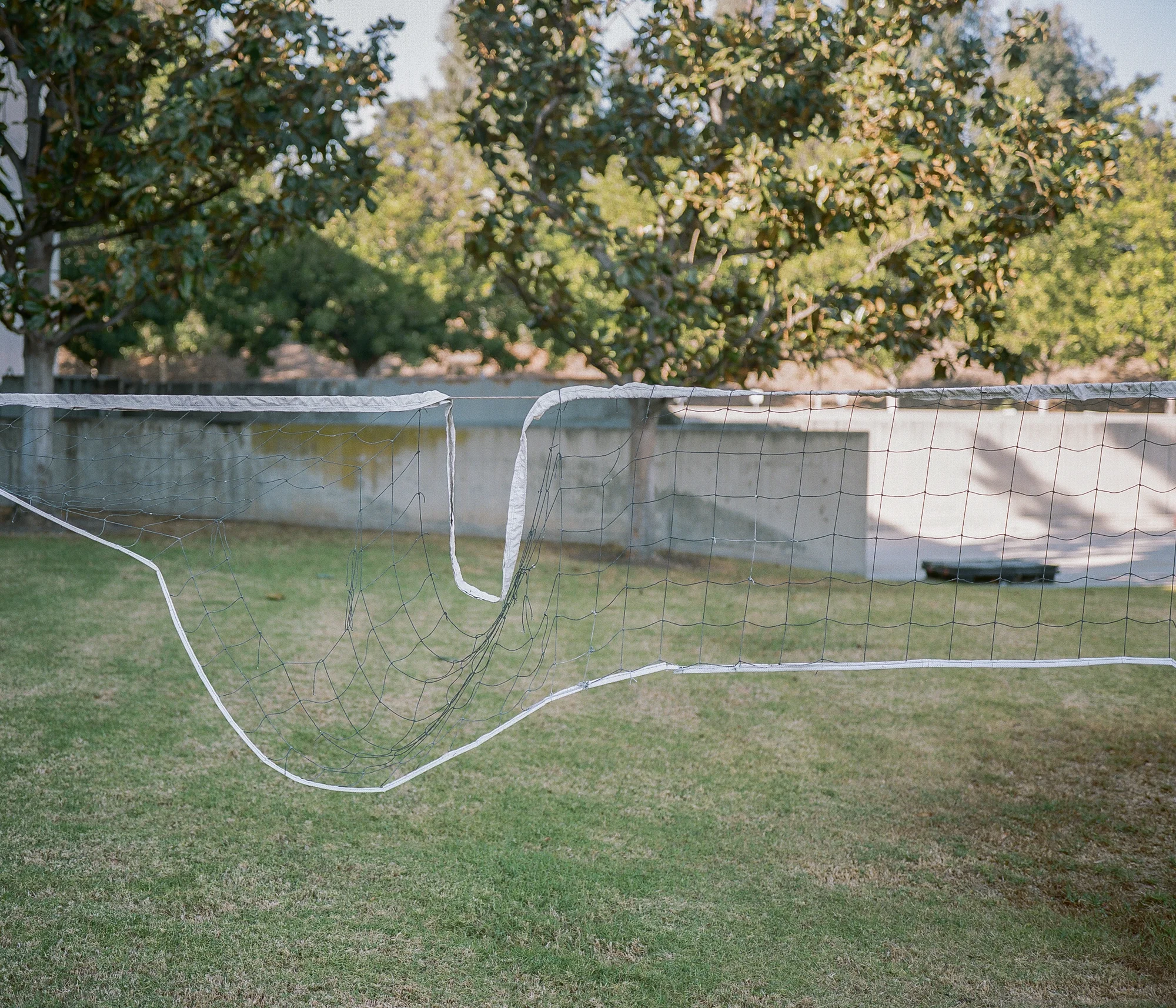 Volleyball net on Portra 400