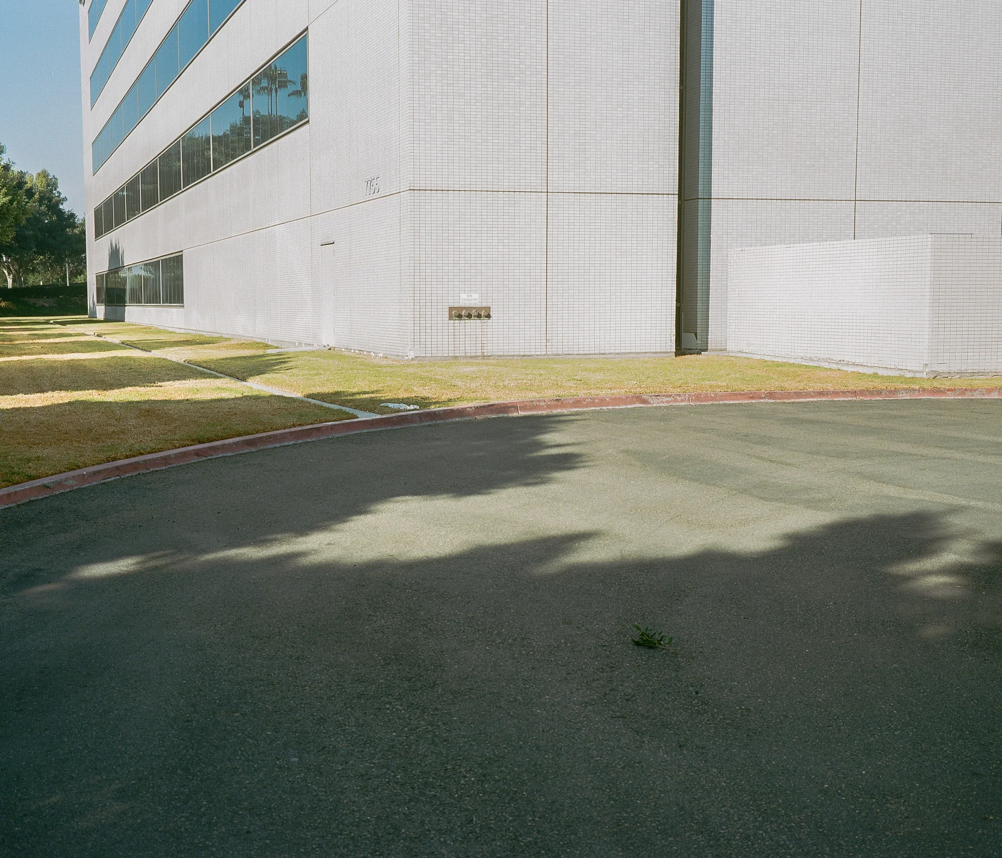 Film photographer in Southern California