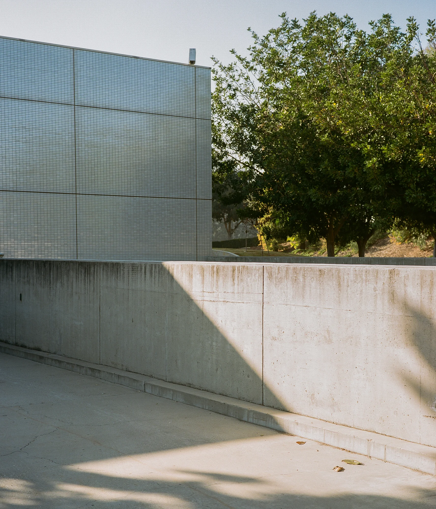 Southern California Wedding photographer shooting film