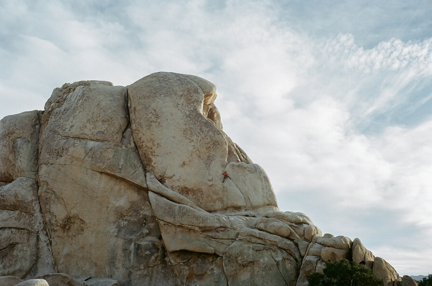 Intersection Rock in Joshua Tree National Park