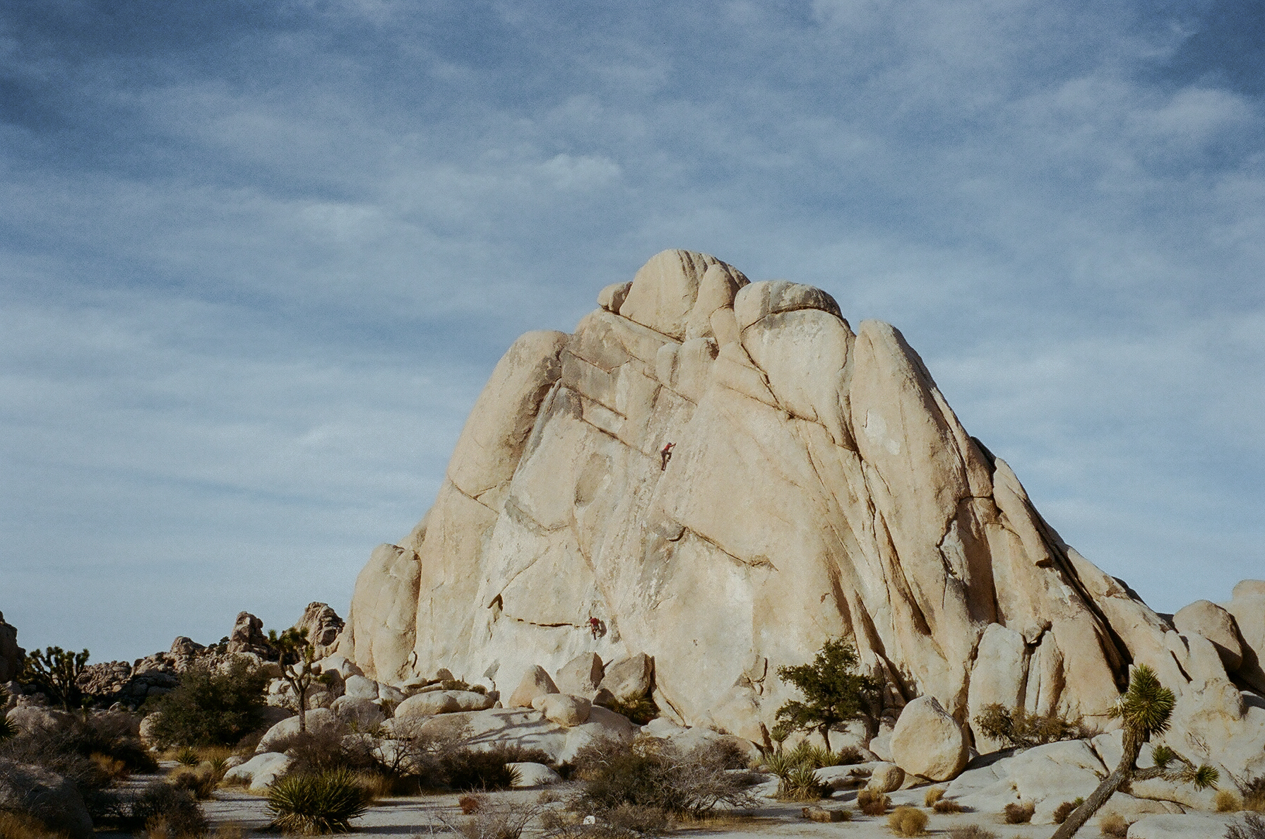 Joshua Tree Wedding Photographer