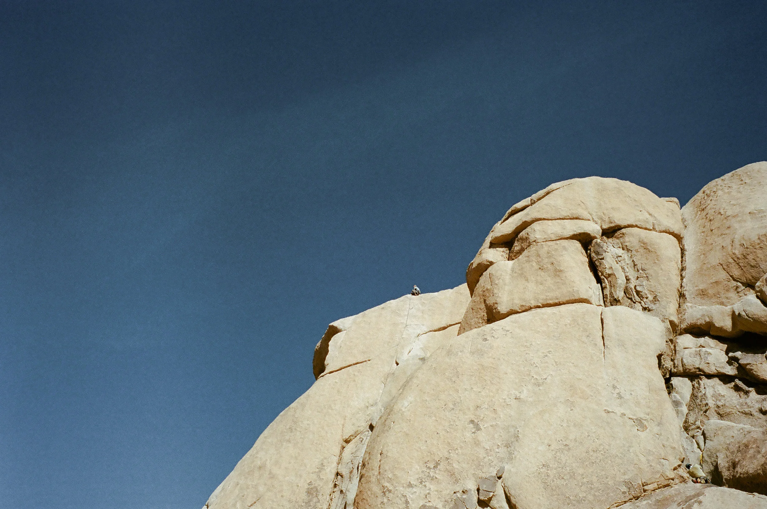Film Photographer in Joshua Tree