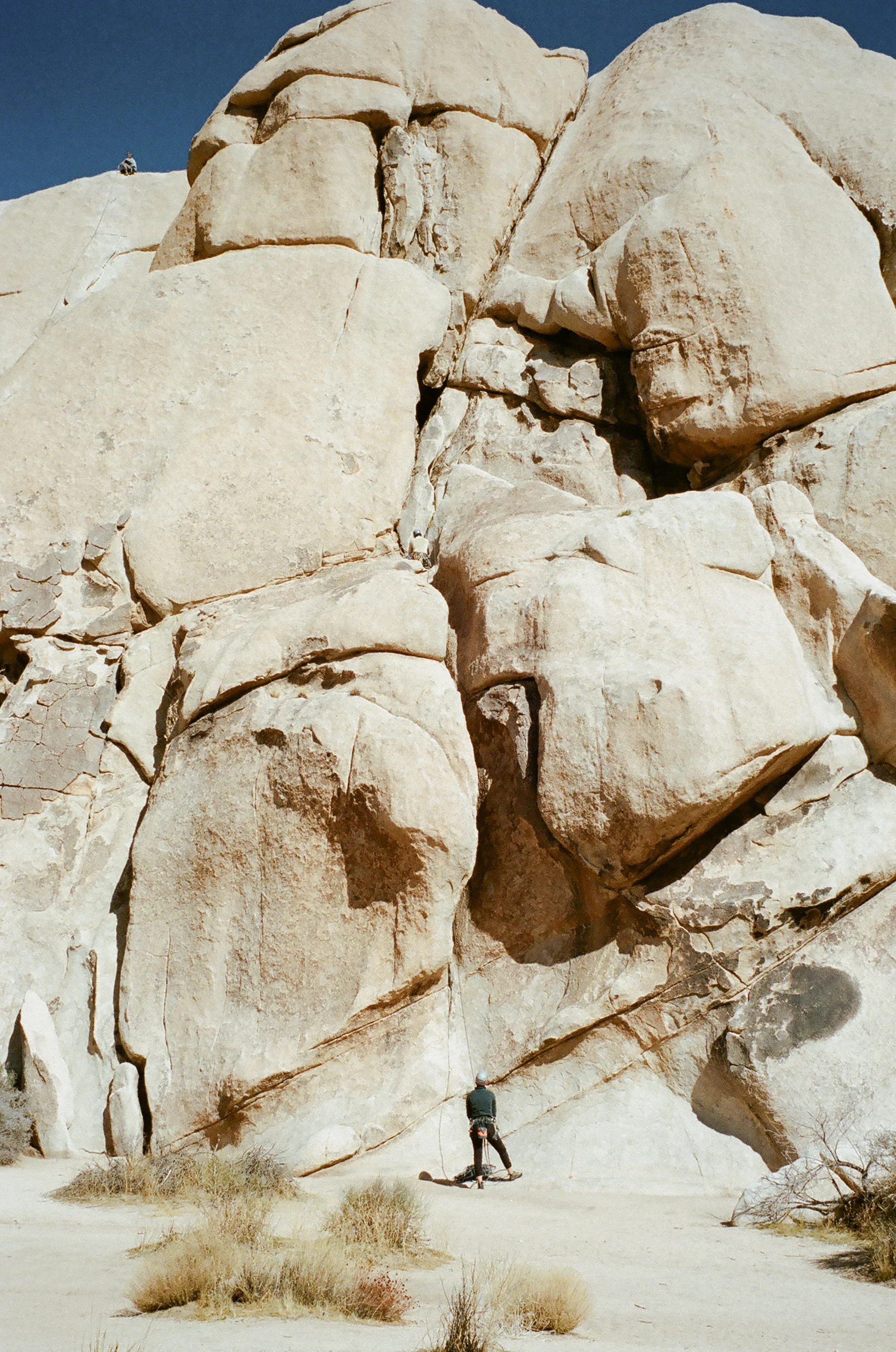 Rock Climbing in Joshua Tree