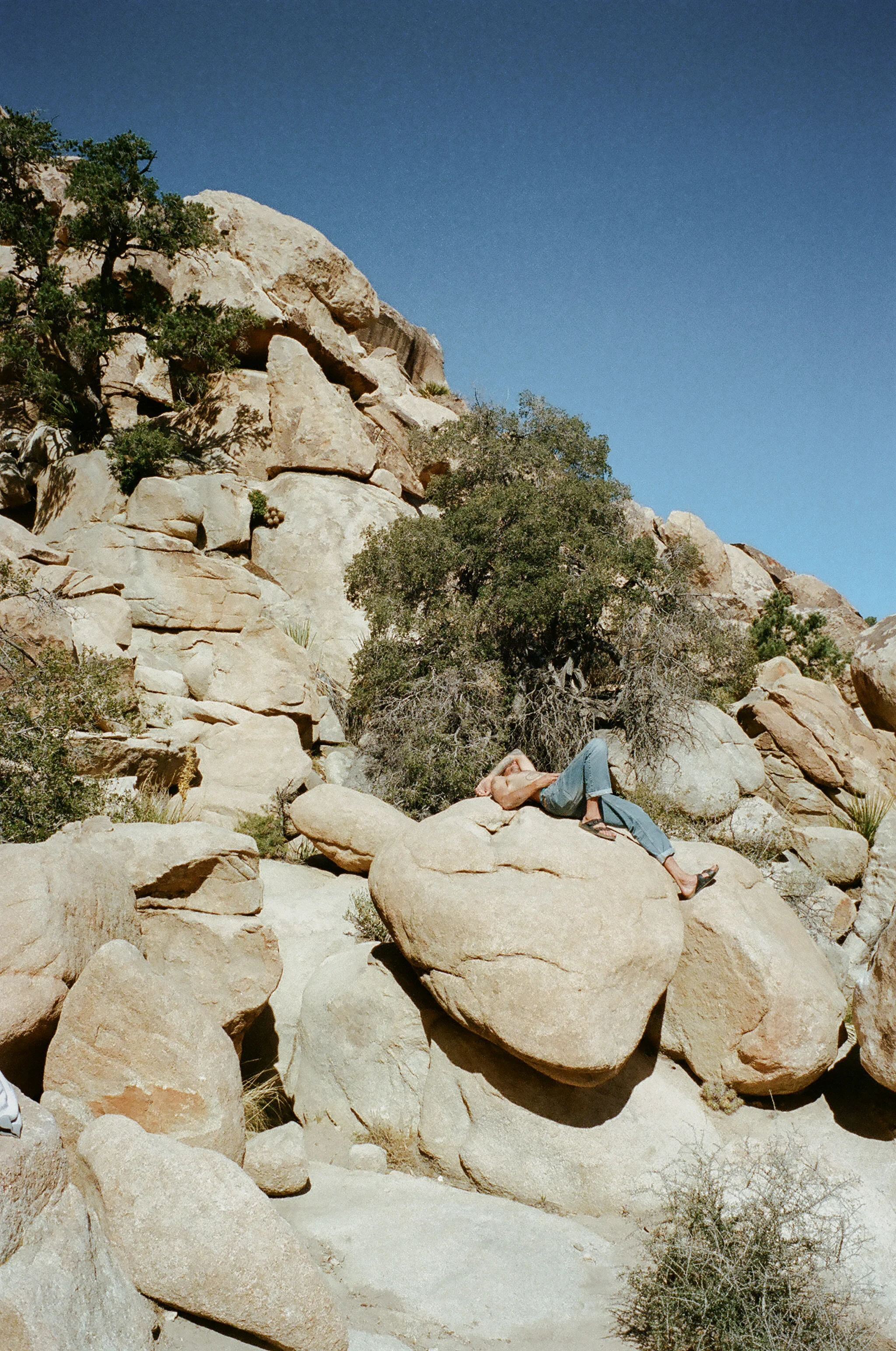 Joshua Tree National Park