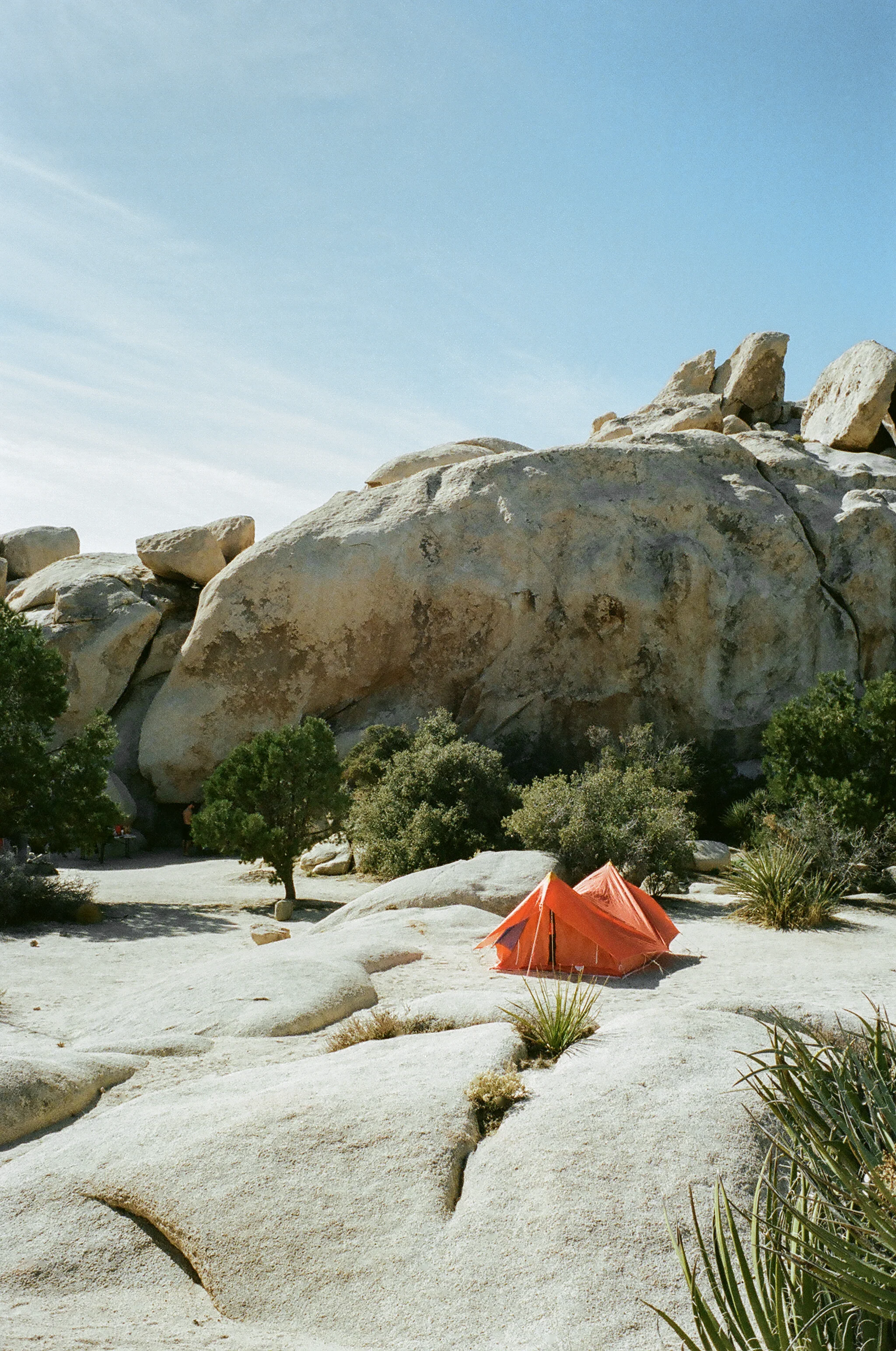 OptOutside REI