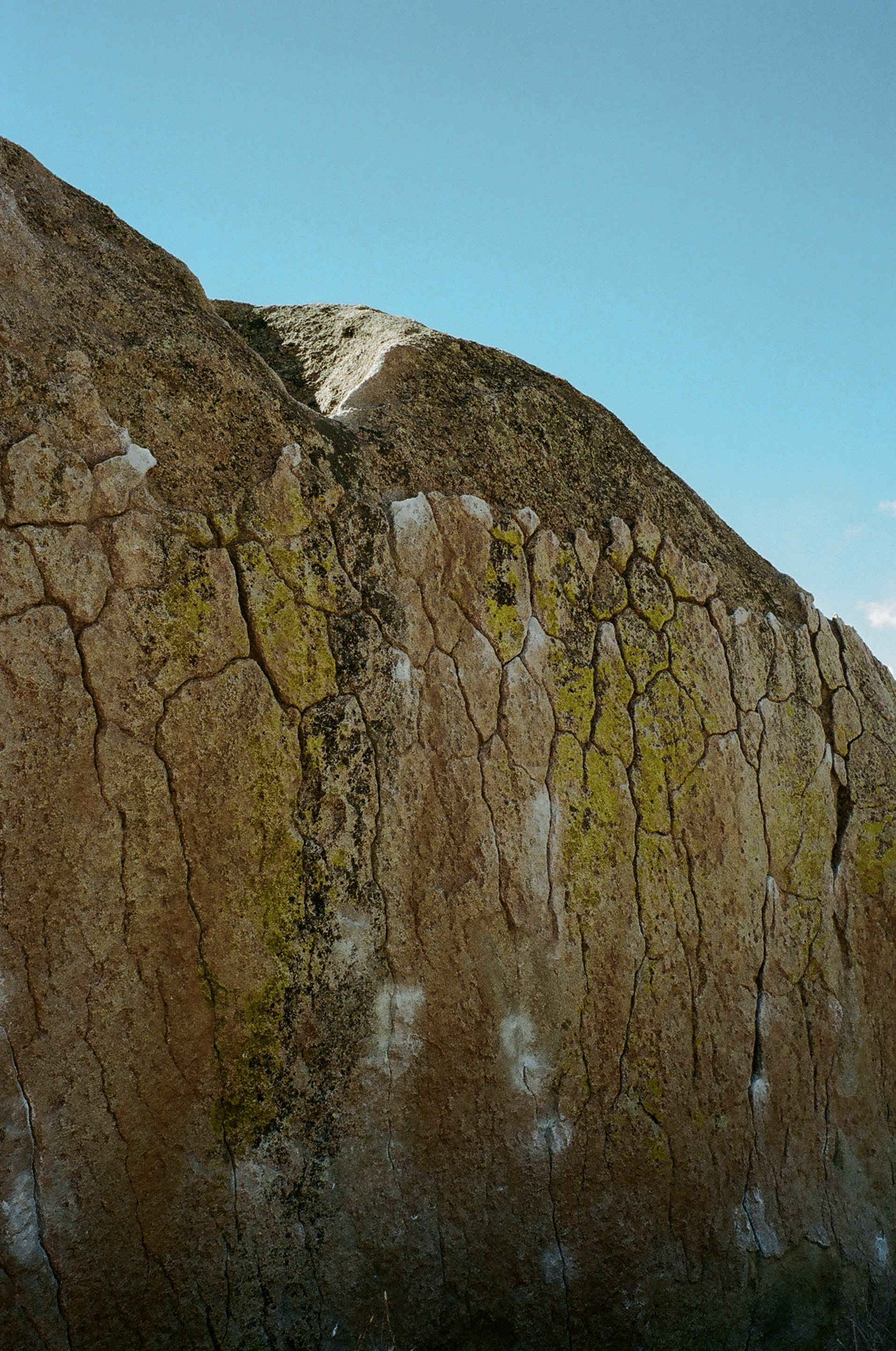 The Green Wall V6