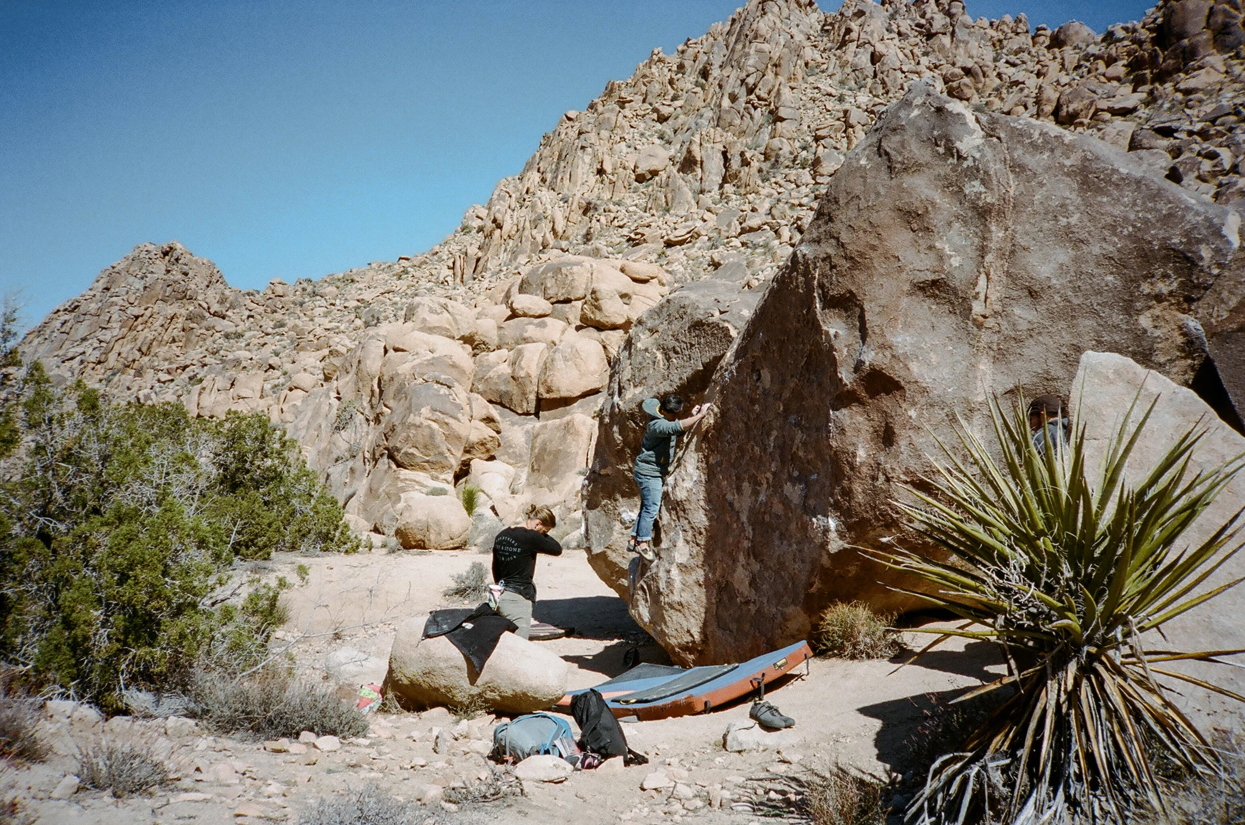 Joshua Tree Bouldering Guide