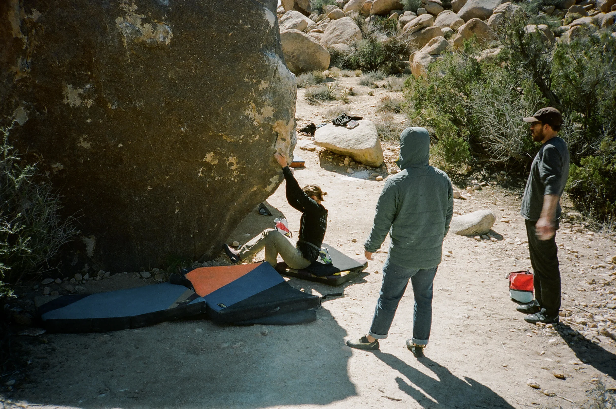Yabo Starts in Joshua Tree