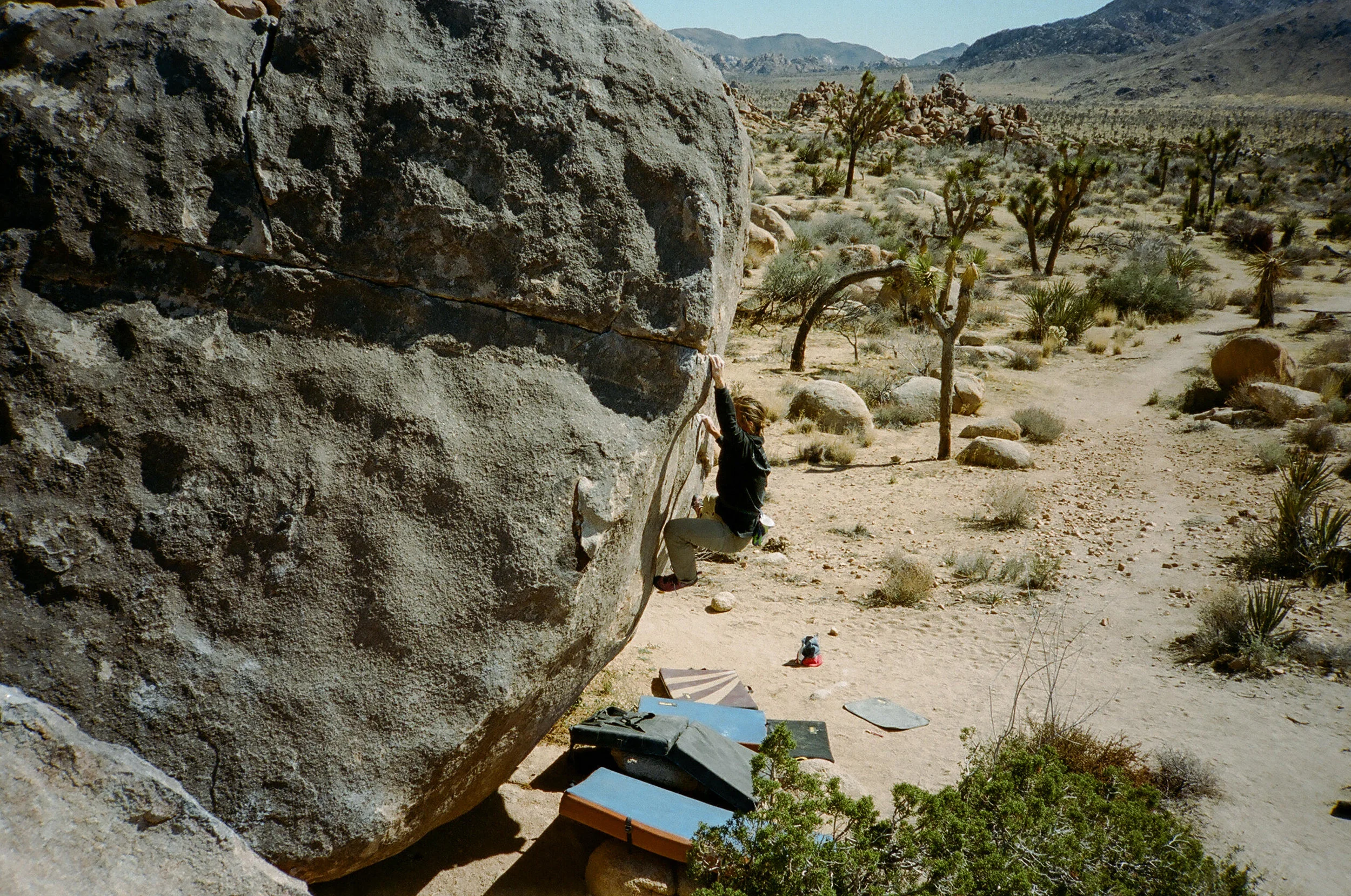 Wedding photographer in Joshua Tree
