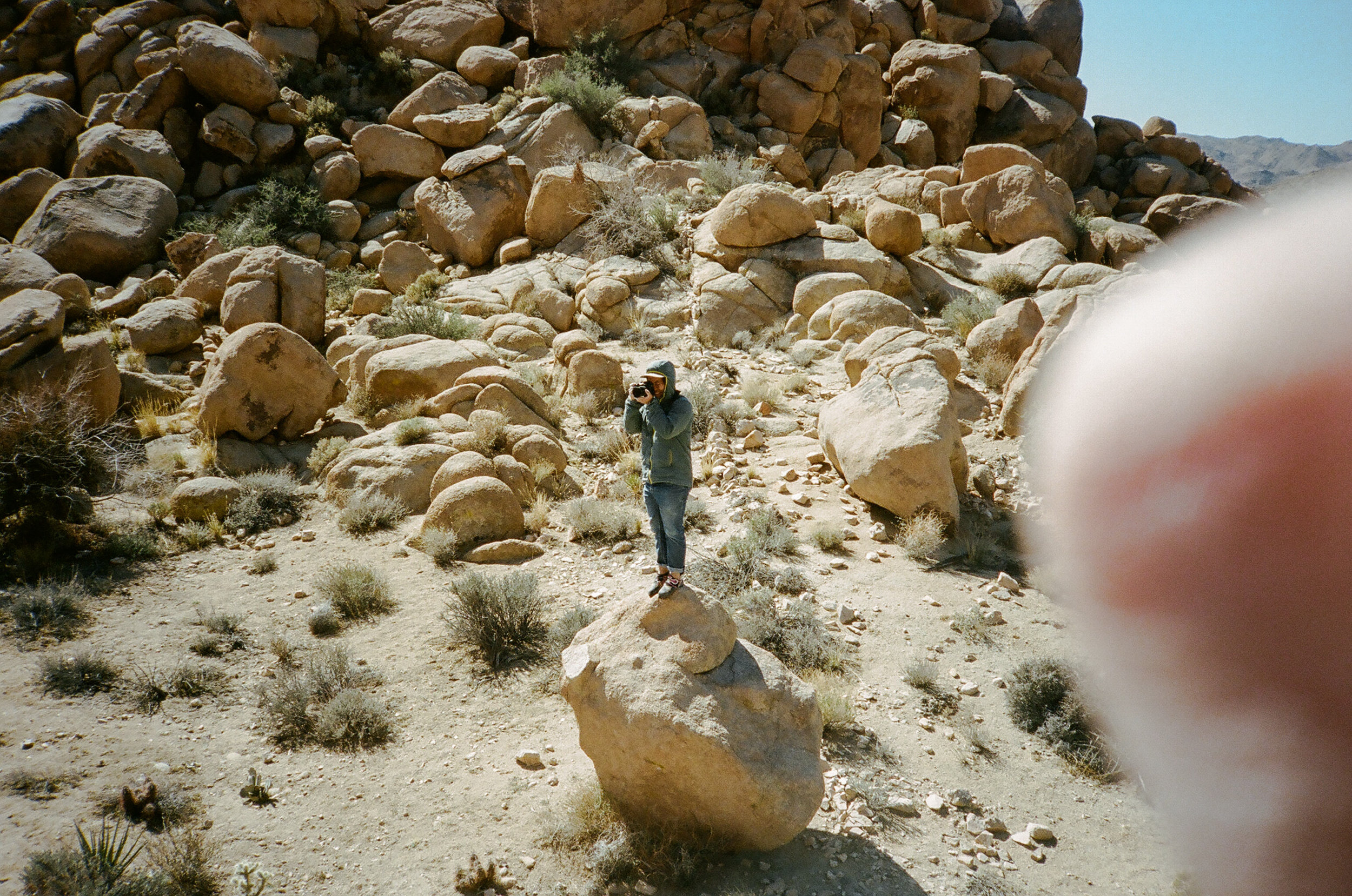 Joshua Tree Wedding Photographer