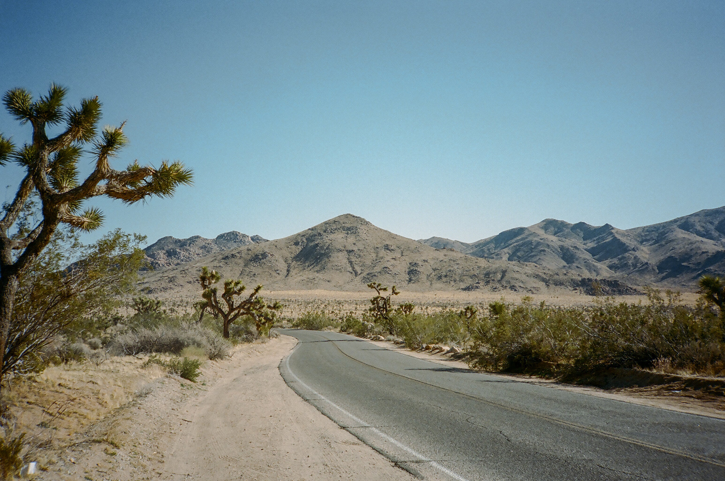 Los Angeles Wedding Photographer in Joshua Tree