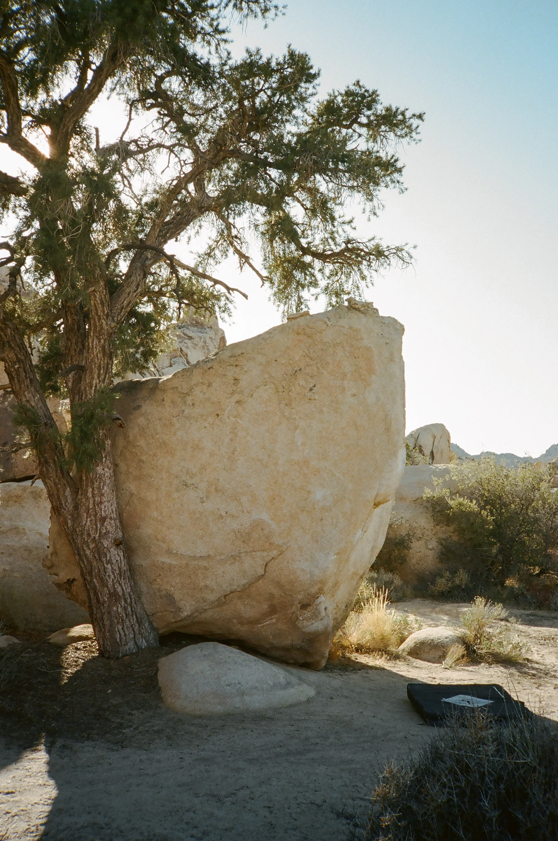 JTree on Film