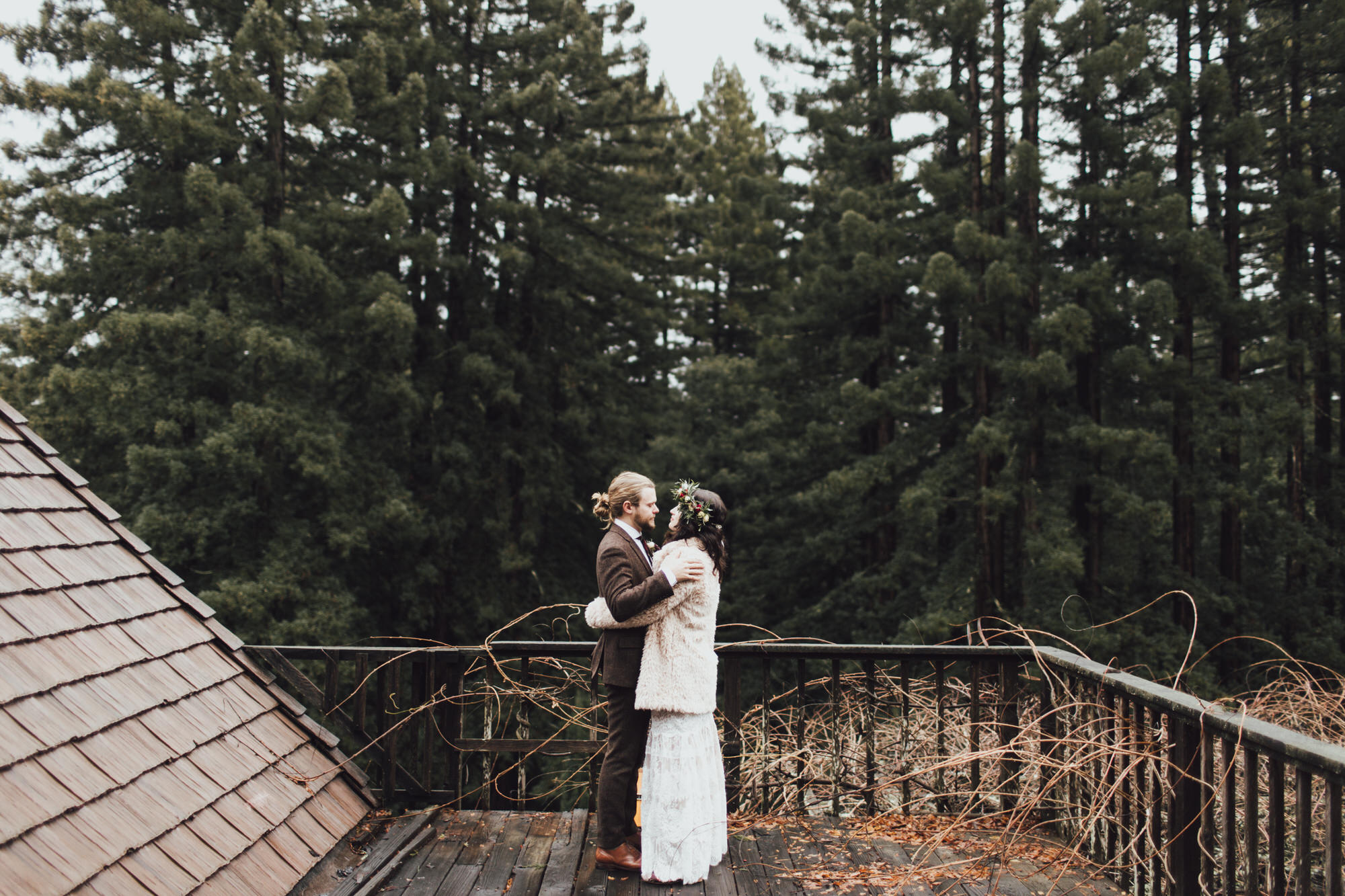 First Look in the Forest in California