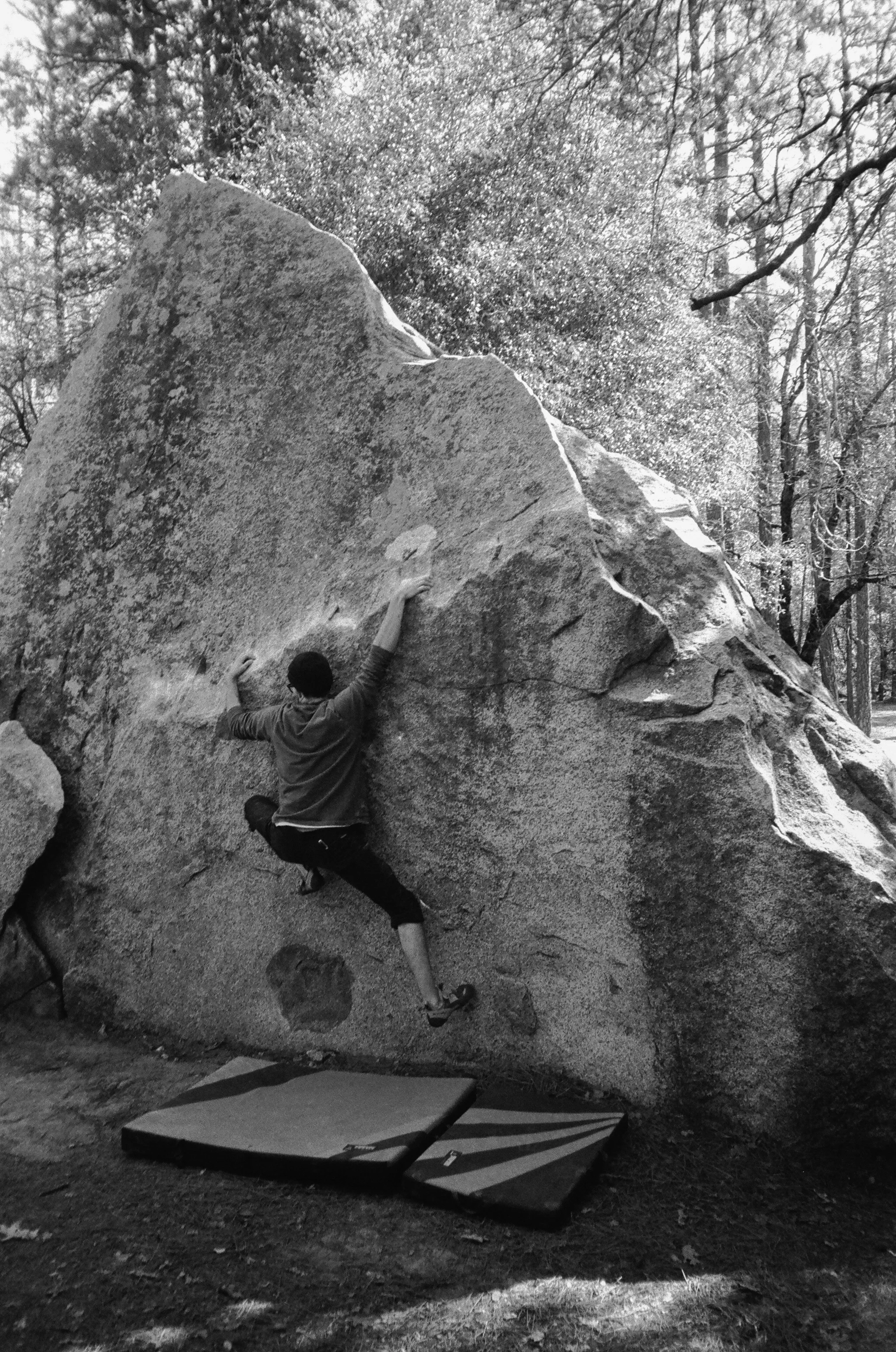 organic climbing pro athletes