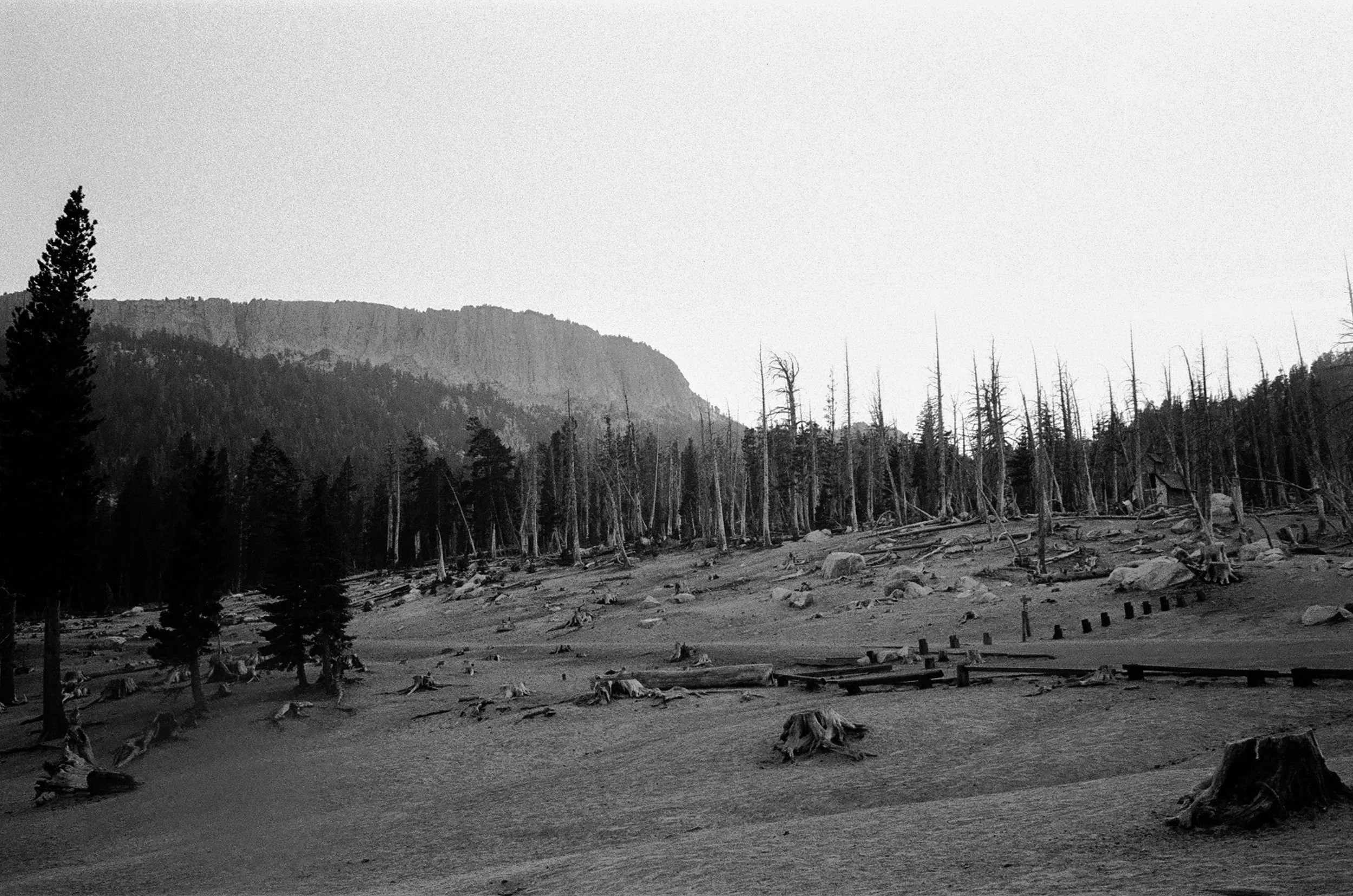 Leica m6 review photography