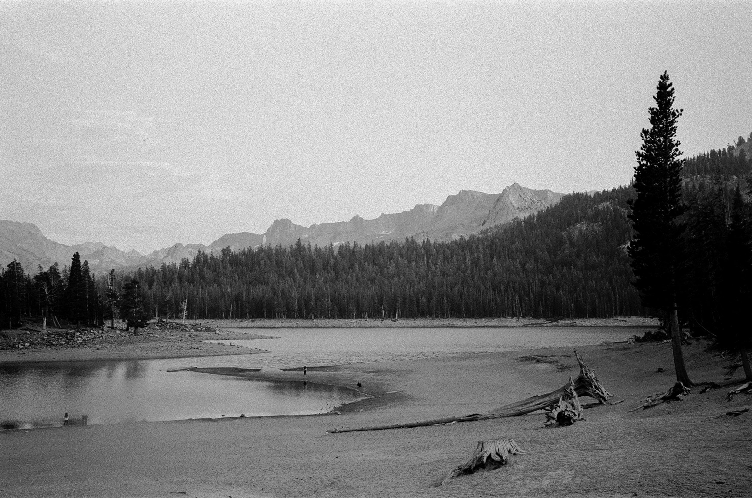 ilford hp5+