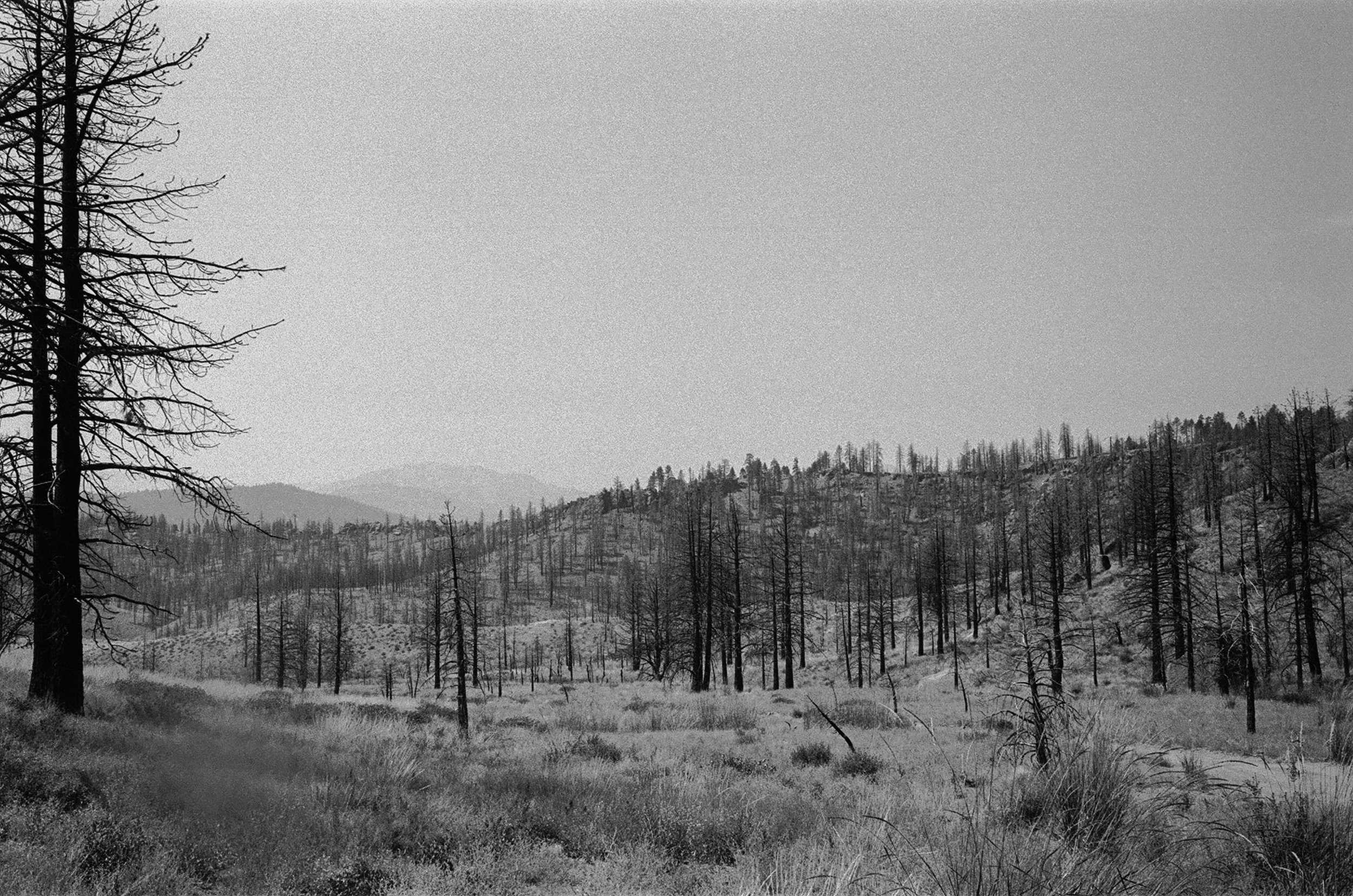 california sierras
