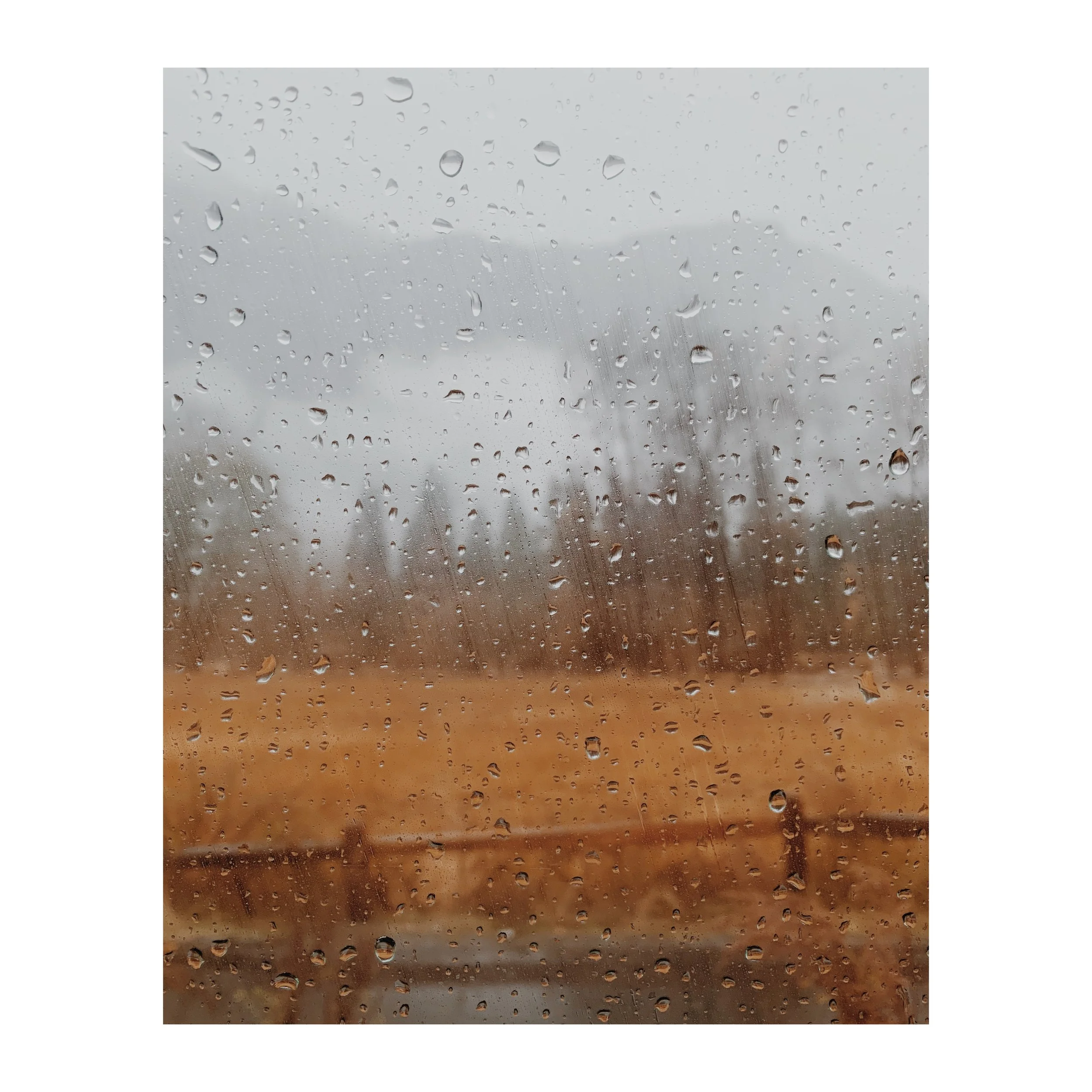 raining in Yosemite