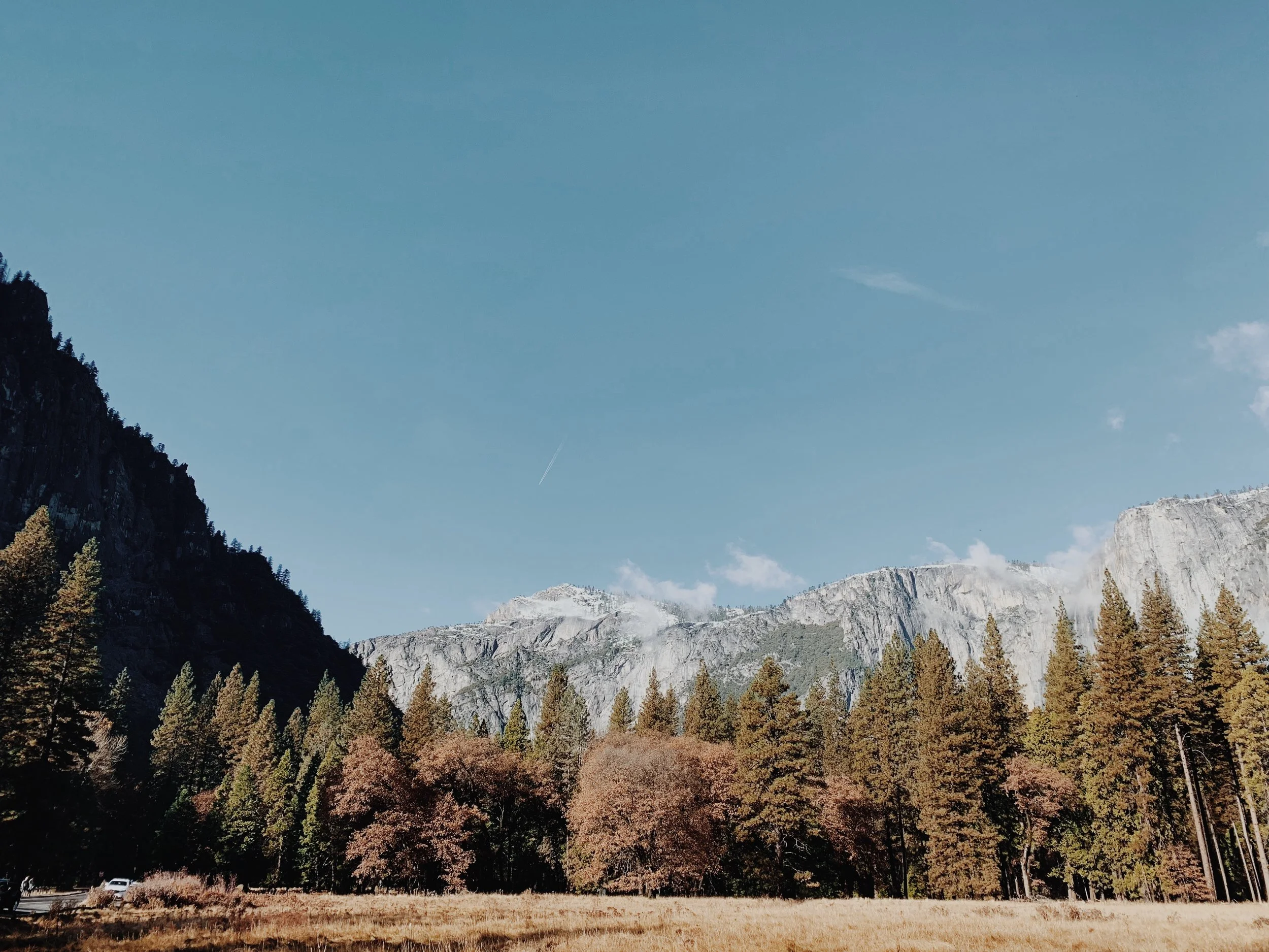 the valley floor