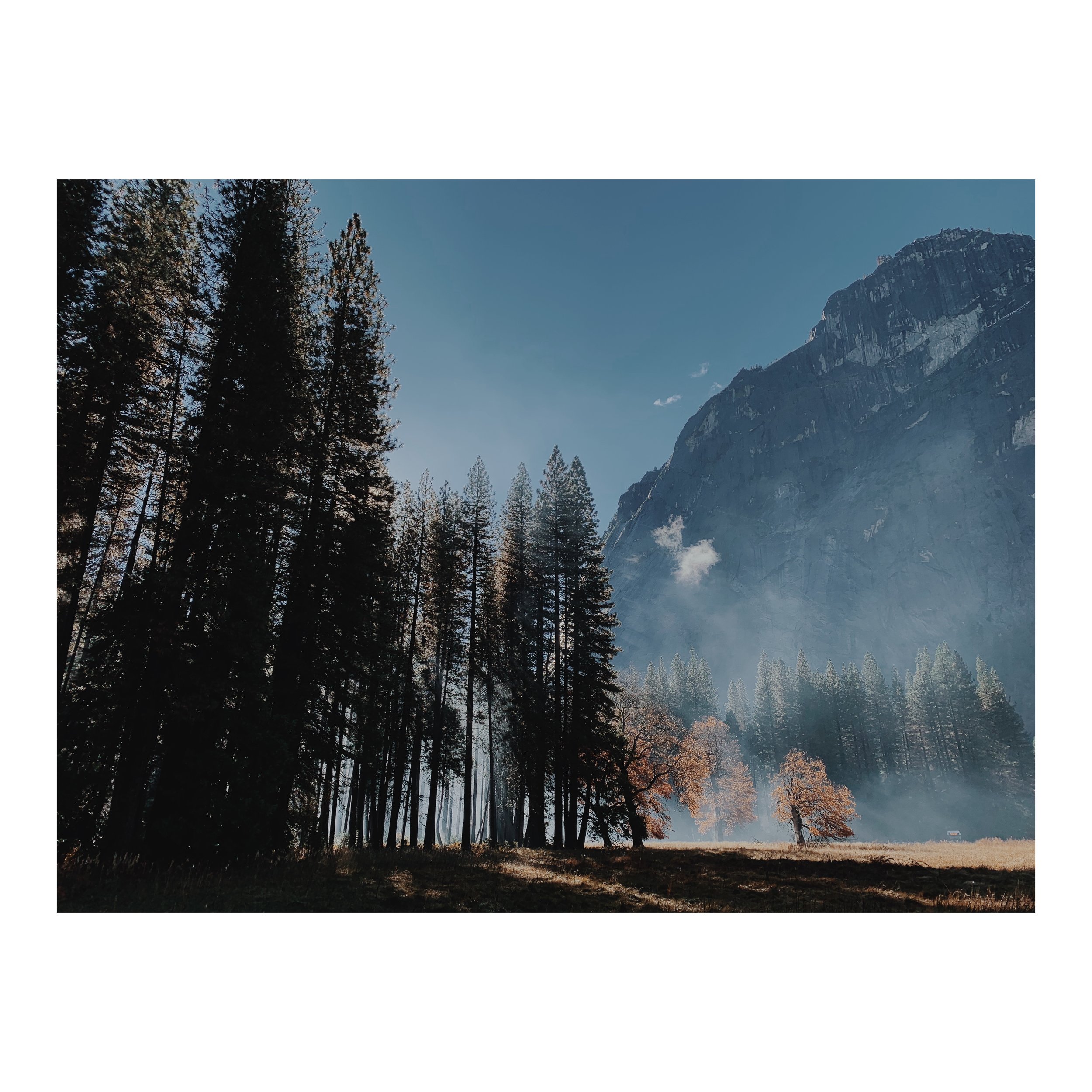 Yosemite Valley after a rain