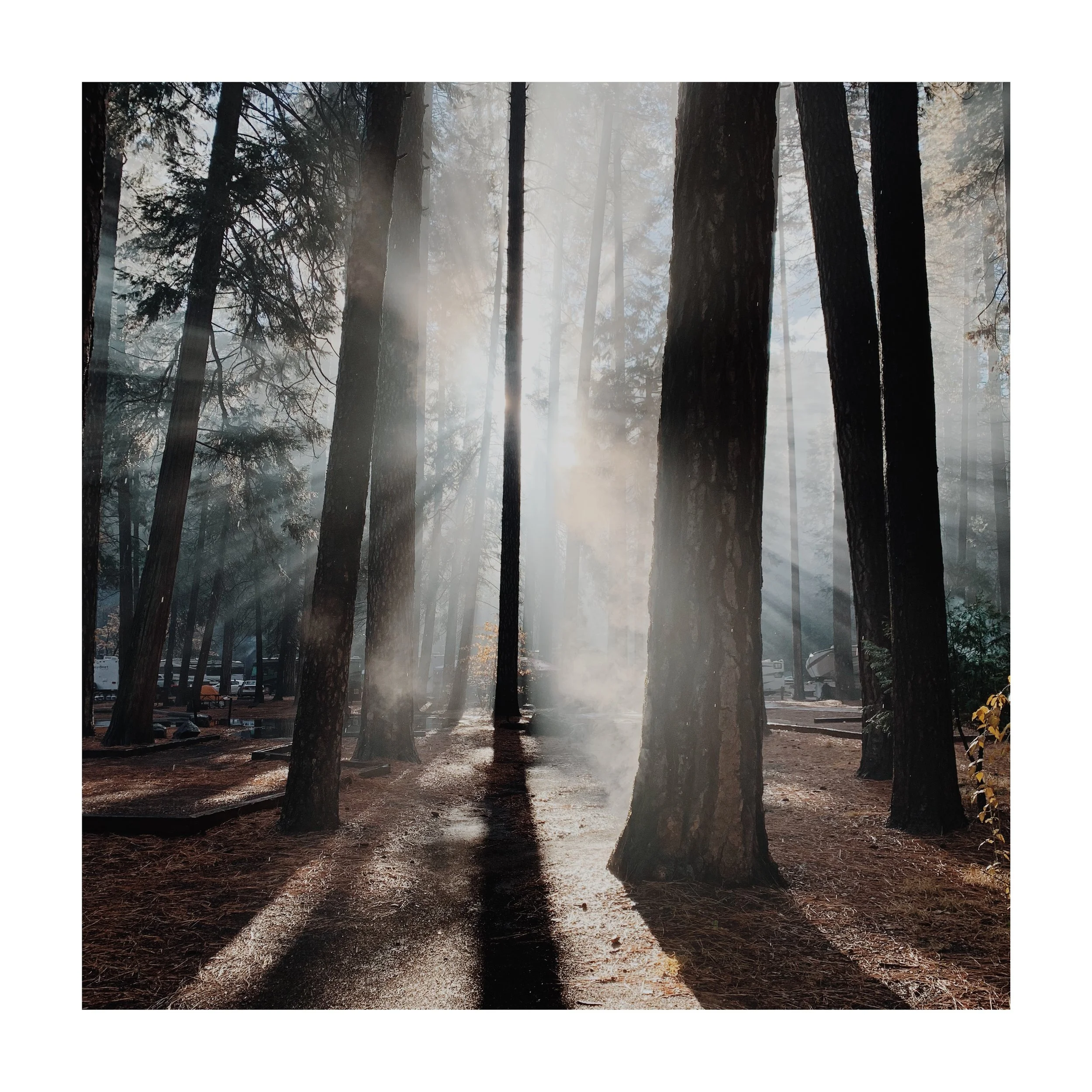 sunlight at dawn in Yosemite