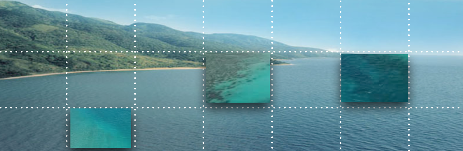 Oceana zoom.png