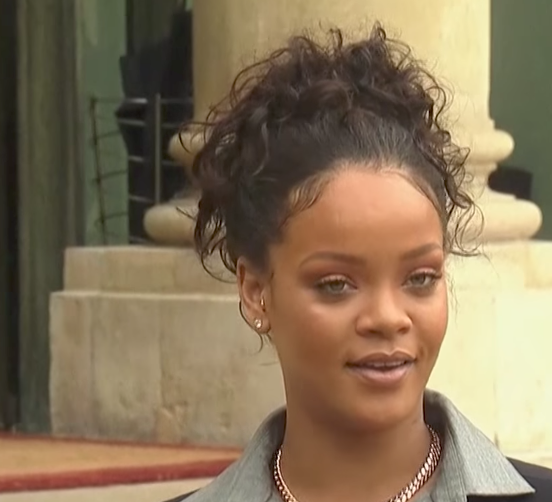 Rihanna meets with President Macron to discuss education