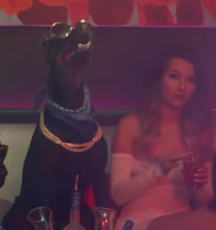 Snoop Dogg "Toss It" ft. Too $hort & Nef Da Pharaoh