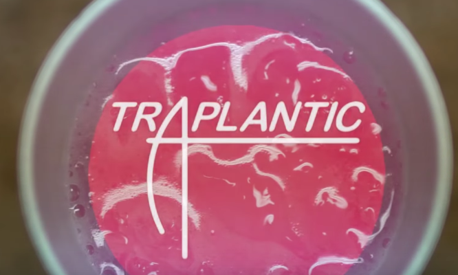 Shoreline Mafia (Rob Vicious) - Traplantic [Official Music Video]
