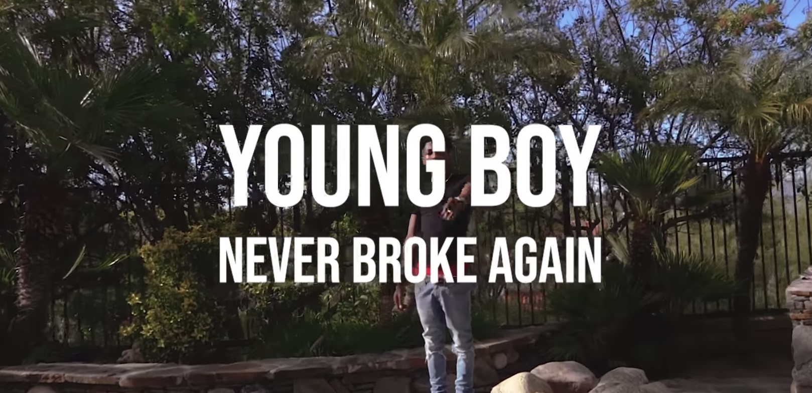 NBA Youngboy - FREEDDAWG (Official Video)