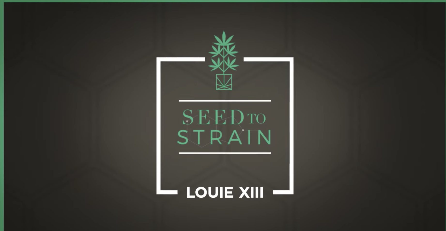 #TBT - OG Louie XIII Tells the Story Behind His Iconic Strain | SEED TO STRAIN