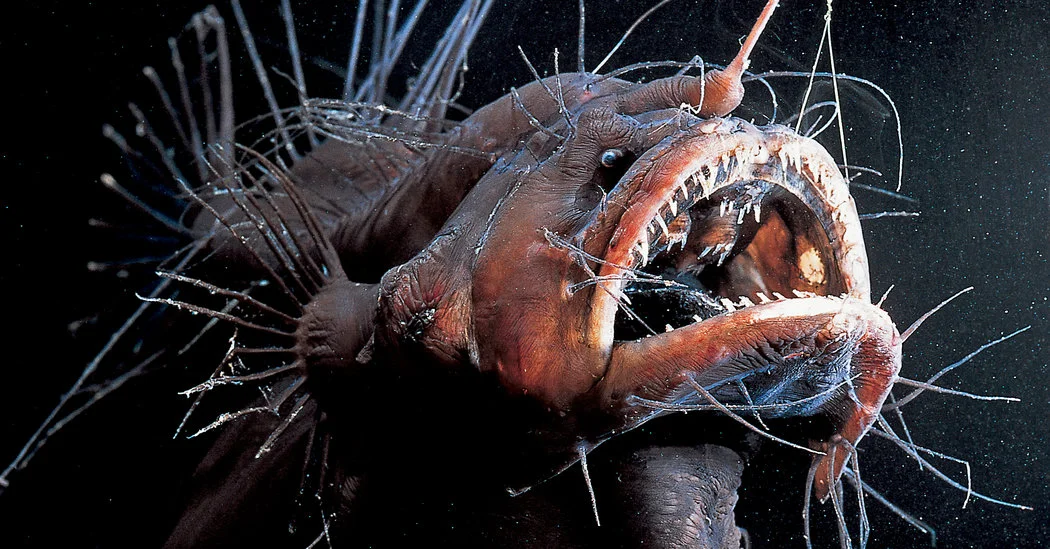 What's Lurking In The Depths Of The Ocean