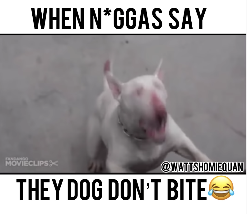 When N*ggas say they dog don’t bite (Comedy)