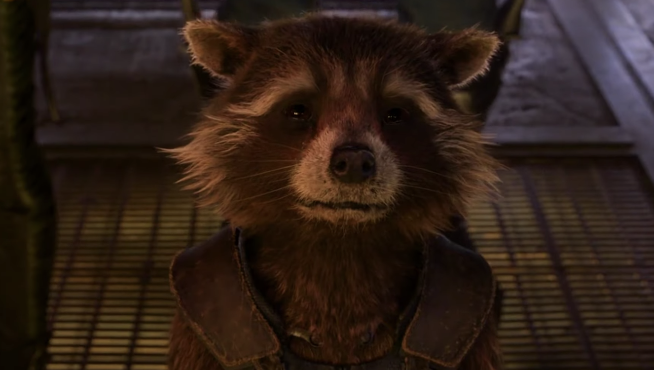 Rocket Racoon's Tragic Origins Revealed