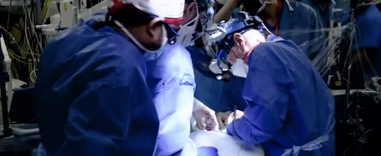 Surgeons transplant pig’s heart into terminal patient (News)
