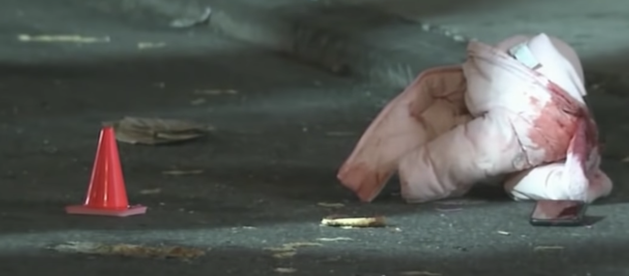 11-month-old girl shot in face in the Bronx (News)