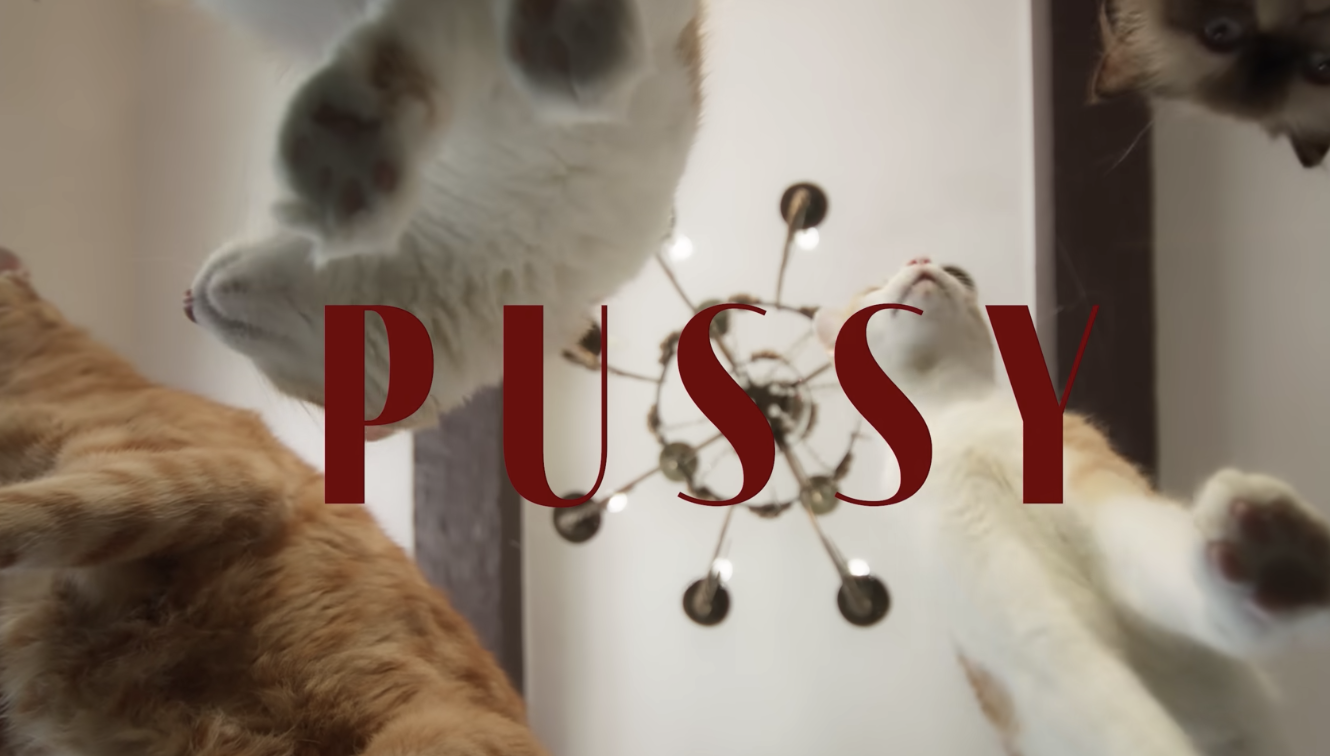 Latto - PUSSY (Official Video)