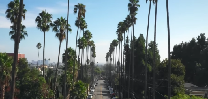 The Story of Ruben Diablo Gomez from Eastside Wilmas “The Devil in Human Form”