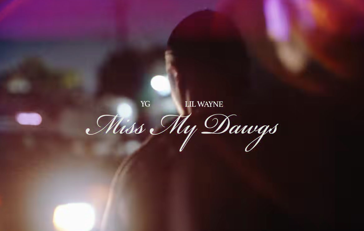 YG, Lil Wayne - Miss My Dawgs (Music Video)