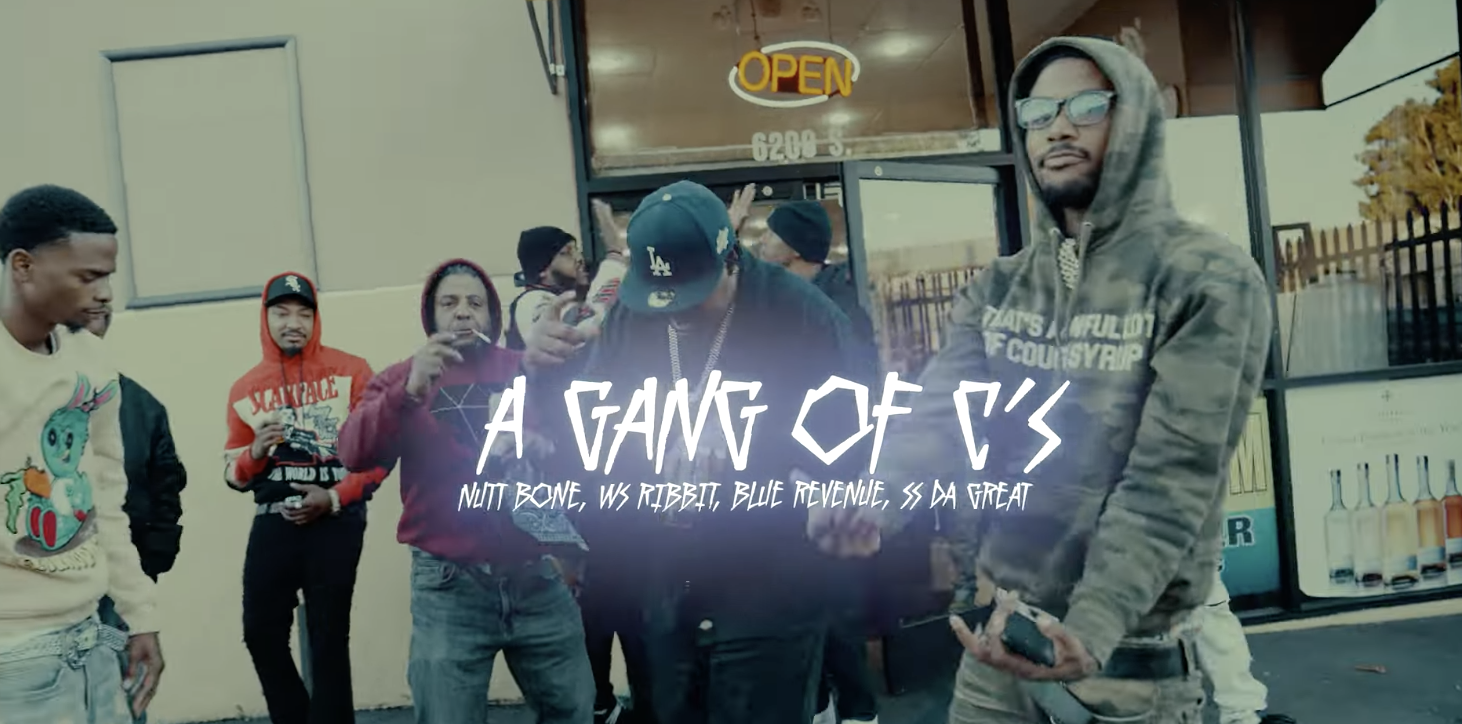 THE BLUE TEAM - A GANG A CRIPS (Music Video)