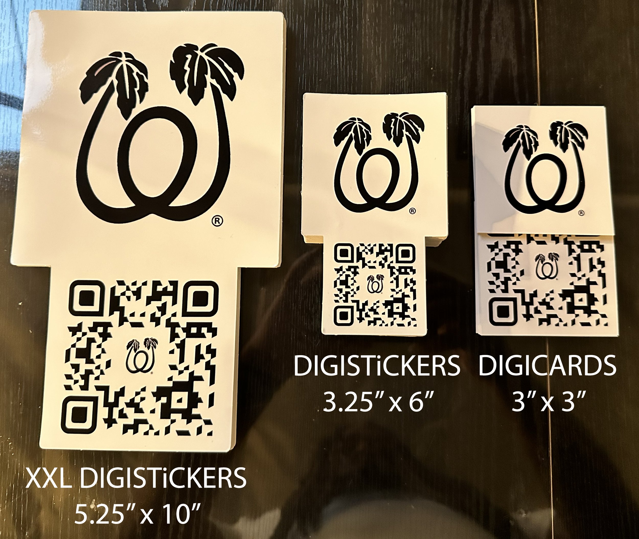 Digiflight Sizes.jpg