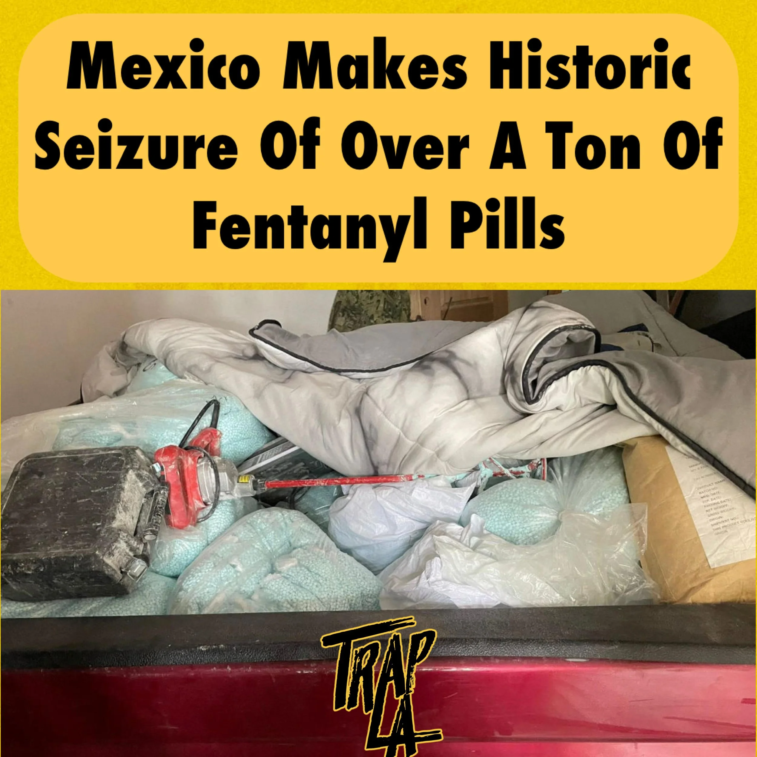Mexican Authorities Seize Over a Ton of Fentanyl Amid U.S. Pressure