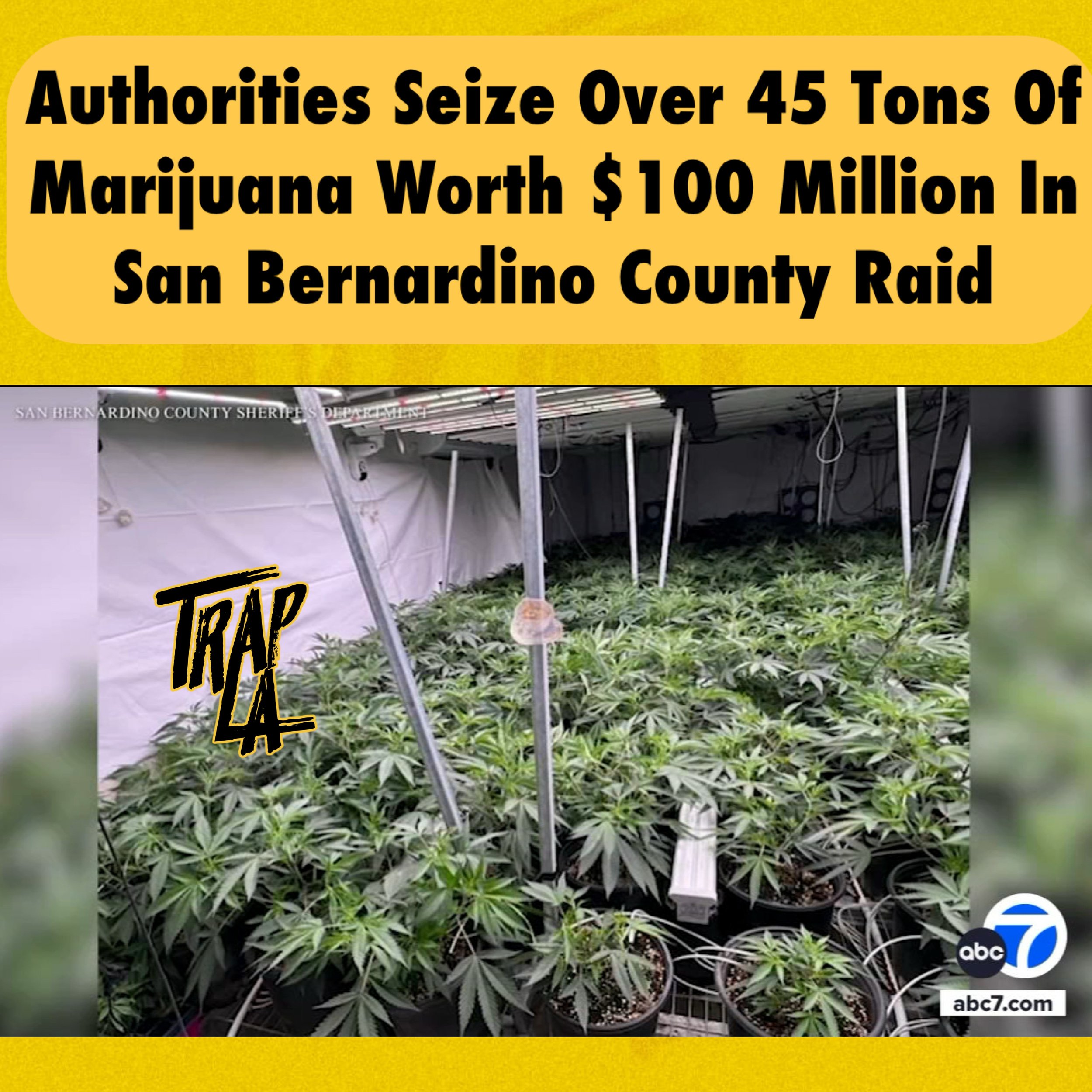 Major Marijuana Seizure in San Bernardino County: 90,000 Pounds Hauled Away
