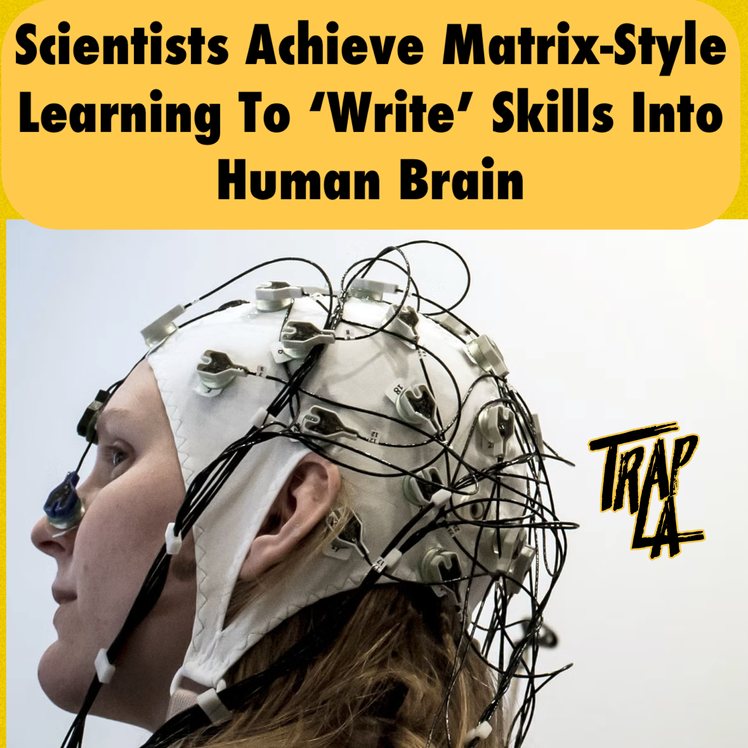 Scientists Achieve Matrix-Style Learning to Write Skills into the Human Brain