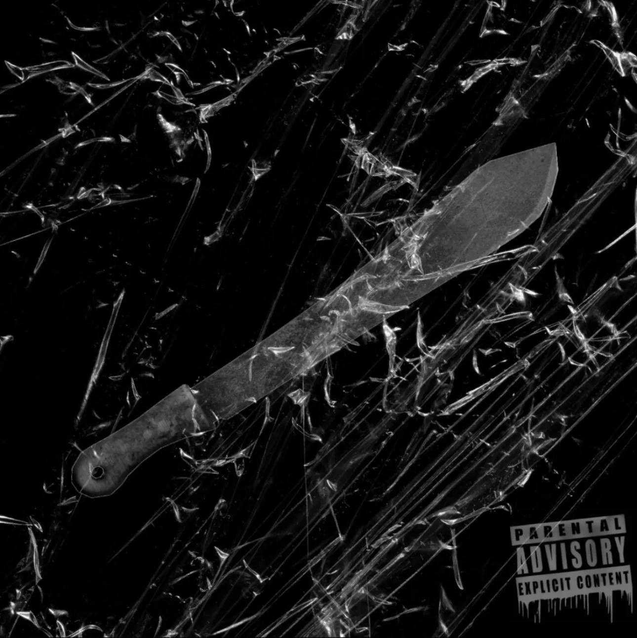 Machete cover.jpg