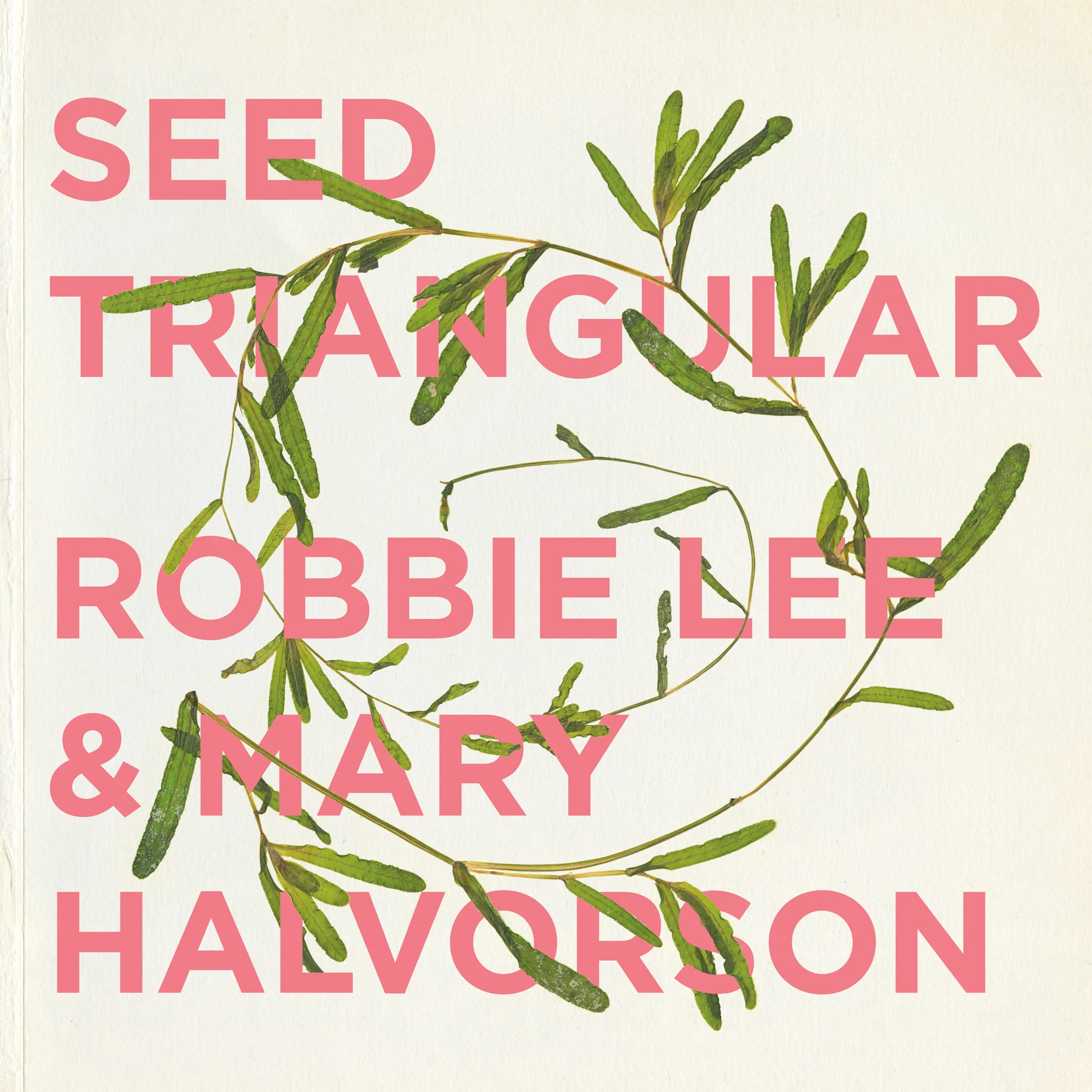 TEXTURA: Robbie Lee and Mary Halvorson: Seed Triangular